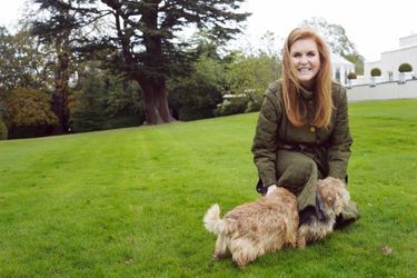 Sarah Ferguson avec deux de ses cinq chiens.
