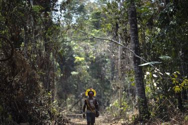 Kadjyre, chef d’une tribu kayapo, sur un chemin taillé illégalement dans une zone protégée de l’Amazonie brésilienne.