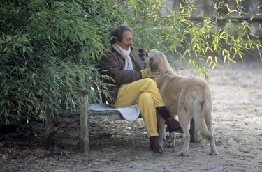 « C'est l'une des premières sorties du convalescent. Son chien, un berger d'Anatolie, l'accompagne, comme il faisait durant les randonnées à cheval de l'acteur. » - Paris Match n°2694, 11 janvier 2001