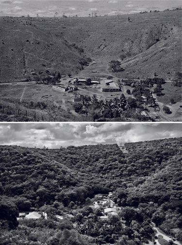 L'Instituto Terra (Minas Gerais) en haut en 2001 et en bas en  2013: 2 millions d’arbres plantés