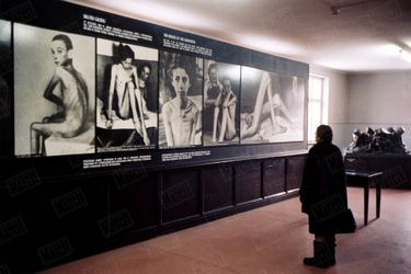 « Ces photos, prises en mai 1945, témoignent des expériences faites sur des détenus, « cobayes humains » du Dr Mengele. » - Paris Match n°2904, 13 janvier 2005