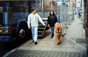 Dans les années 2000. Thierry et Sandrine emmènent leur tigre dans la salle où ils se produisent, à Francfort… dont Rambo raffole des saucisses !
