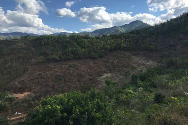 Des morceaux de forêts détruits par les agriculteurs dans le Ranomafana National Park, afin de faire pousser du riz.
