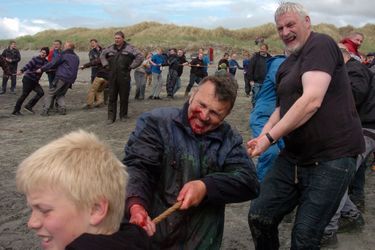 Pendant le Grindadrap de 2012, des hommes tirent à la corde pour ramener les baleines sur la terre ferme.