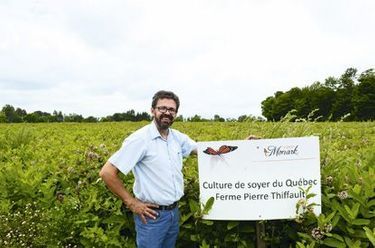 Daniel Allard, agriculteur, a tout misé sur le « soyer du Québec ».