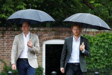 Les princes William et Harry dans les jardins de Kensington palace, pour commémorer la disparition de leur mère Diana, vingt ans après, le 30 août 2017.