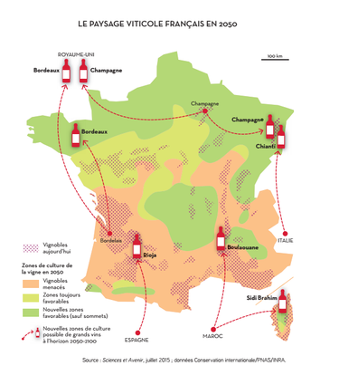 La paysage viticole en 2050
