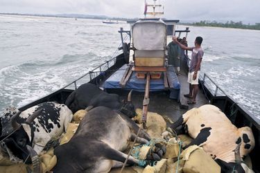 Pour traverser la passerelle instable, la charrette a été vidée : 300 kilos d’équipement à porter. Dix fois par jour.