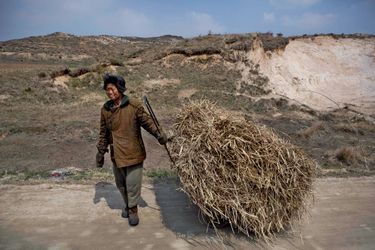 Dans les campagnes de Corée du Nord, aujourd’hui, comme hier, ni les paysans ni les ouvriers n’ont de machines, et les vieillards triment.