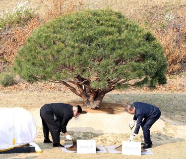 Un geste symbolique : l’arrosage du pin, emblème de la paix et de la prospérité entre les deux Corées.
