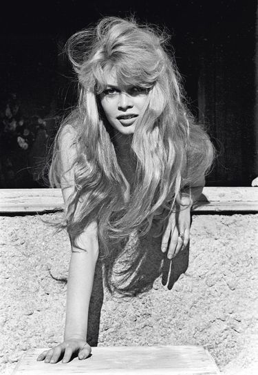 Bardot, la féline charme l'objectif du Leica de notre photographe Jack Garofalo à Cannes en mai 1957.