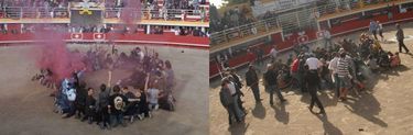 Le 8 octobre 2011, l’action anti corrida dans l’arène de Rodilhan.