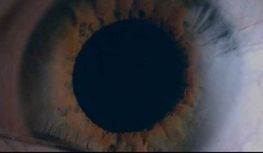 pupille-