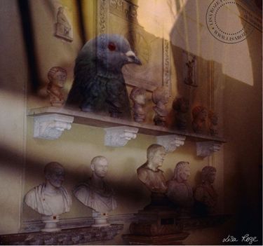 «Pigeon Vaticano». Photo argentique retravaillée manuellement.