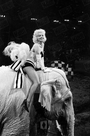 Marilyn Monroe au Gala des artistes avec le cirque Ringling-Barnum, au Madison Square Garden de New York, en mars 1955.