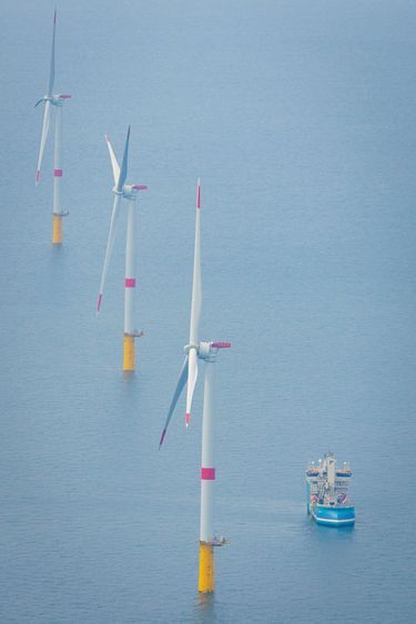 Les éoliennes mesurent 180 mètres de haut, soit l’équivalent d’un immeuble de 60 étages.