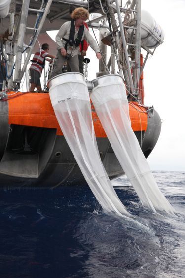Deux longues manches en Nylon traînent derrière le navire tout au long des missions. Elles récoltent les microplastiques.
