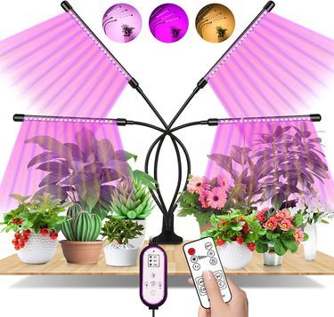 Lampe à LED réglable pour les plantes – Alma Plantes