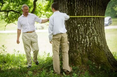 Le prince Charles mesure ses arbres dans l’une de ses propriétés en Roumanie, le 8 juin 2015