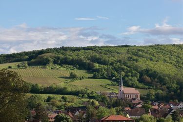 Le village de Kientzheim, immergé dans les vignes au pieds de coteaux, abrite le musée des Vins d’Alsace.