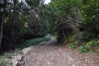 Au bout de ce chemin escarpé qui s’enfonce dans la forêt, une « cache » où Georges D. comptait se terrer.