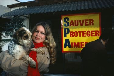 Brigitte Bardot visite un refuge pour chien en 1980