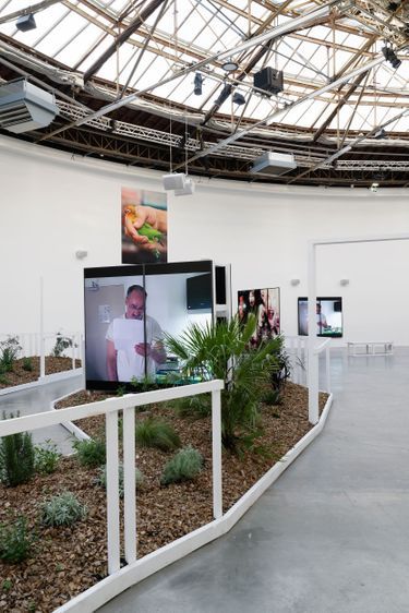 L’exposition réunit des sons, des dessins, des sculptures, des films, des plantes.