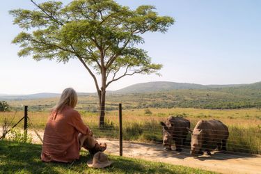 Devant sa maison… et la clôture électrique de 8000 volts : Thabo et Ntombi, les rhinocéros qui ont grandi à ses côtés.