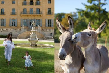 Château de Fonscolombe