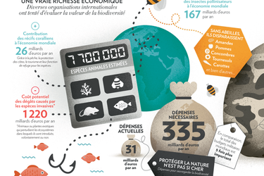 Les milliards de la biodiversité - Infographie