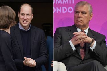 Le prince William (en déplacement le 19 janvier 2022) et le prince Andrew (lors d&#039;un sommet en 2018).