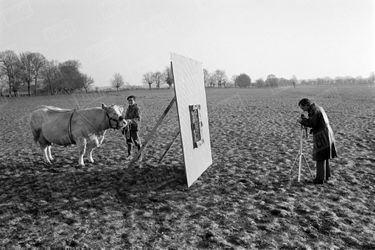 «L'envers du décors. Voici comment "Séduisante" est devenue une vache de salon.» - Paris Match n°987, 9 mars 1968.