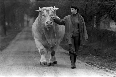 «Elisabeth Dosson et son taureau de trois ans, Joinville.» - Paris Match n°1451, 18 mars 1977.