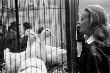 «Jeanne Moreau, entre deux prises de vues des “Liaisons dangereuses”, est venue au Concours agricole pour renouveler sa basse-cour. Elle a acheté une ferme près de Versailles, qu'elle veut peupler de canards. Son père la dirige en véritable gentleman-farmer. Mais c'est elle qui prend soin des nouveau-nés : ici des cabris de deux semaines.» - Paris Match n°520, 28 mars 1959.