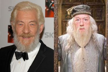 Ian McKellen en 2007 - Michael Gambon joue Albus Dumbledore dans «Harry Potter et l’Ordre du Phénix» sorti en 2007. 