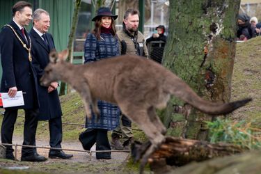 La princesse Mary de Danemark au zoo de Copenhague, le 2 février 2022 