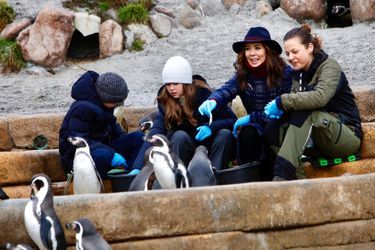 La princesse Mary de Danemark au zoo de Copenhague avec ses jumeaux la princesse Josephine et le prince Vincent, le 2 février 2022 