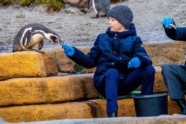 Le prince Vincent de Danemark au zoo de Copenhague, le 2 février 2022 