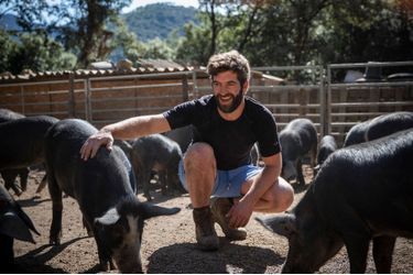 Sébastien, 35 ans, éleveur de cochons, charcutier et castanéiculteur (Corse).
