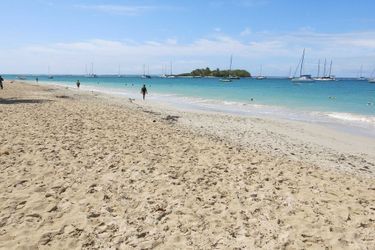 Une plage déserte à Pointe-a-Pitre, en Guadeloupe.