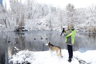 New York sous la neige, le 8 janvier 2022.
