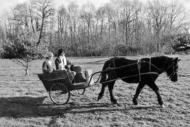 « C&#039;est le poney Hercule qui tire Julien et Miou-Miou. » - Paris Match n°1441, 7 janvier 1977