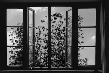 Image extraite de &quot;24 Frames&quot;, le film-posthume d&#039;Abbas Kiarostami, qui sera diffusé le 27 juin au Centre Pompidou.