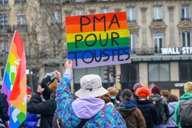 Une manifestation en faveur de la PMA pour toutes, le 31 janvier, à Paris.