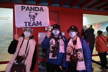 Masque, sweat, écharpe, casquette à l'effigie de pandas pour ces grands fans. 