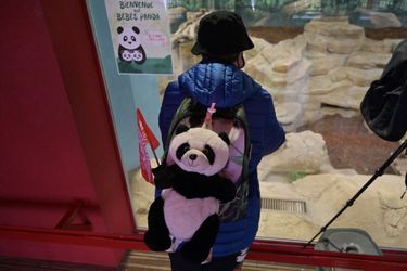 Un visiteur fan des pandas. 