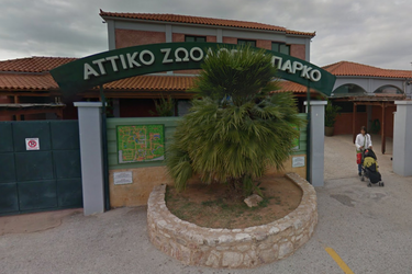 Parc zoologique Attica, en Grèce.