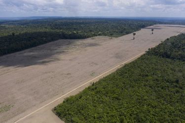 L'Amazonie rasée pour étendre les cultures agricoles.
