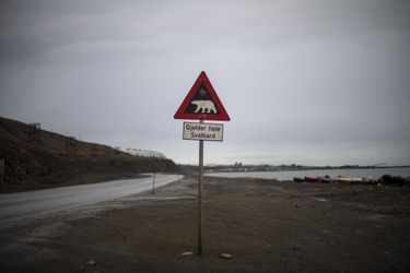 «Attention aux ours dans tout le Svalbard».