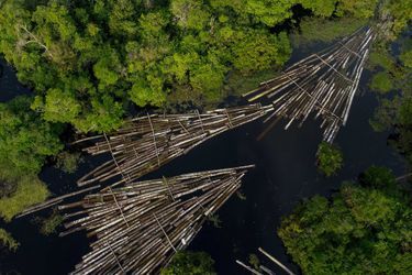 Entre août 2020 et juillet 2021, le déboisement dans la plus grande forêt tropicale du monde s'est étendu sur 13.235 km2 , la surface la plus importante depuis 2005-2006 (14.286 km2).